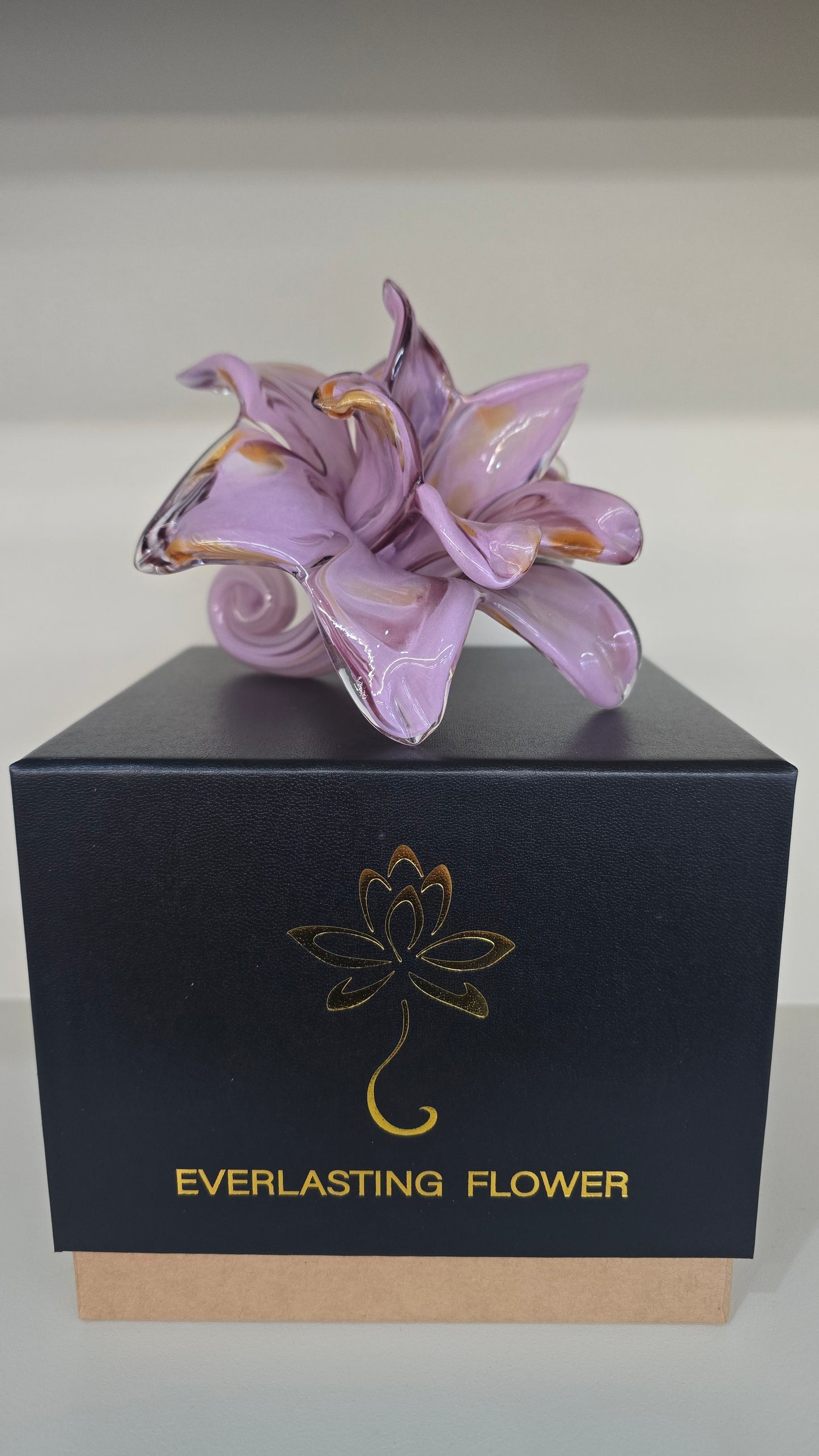 Everlasting Double Flower-011