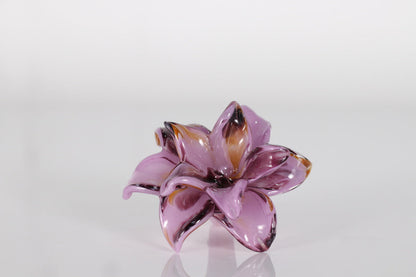 Everlasting Double Flower-011