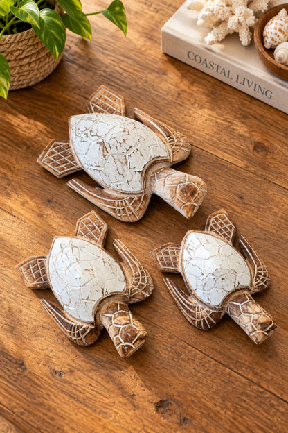 Turtle Set of 3