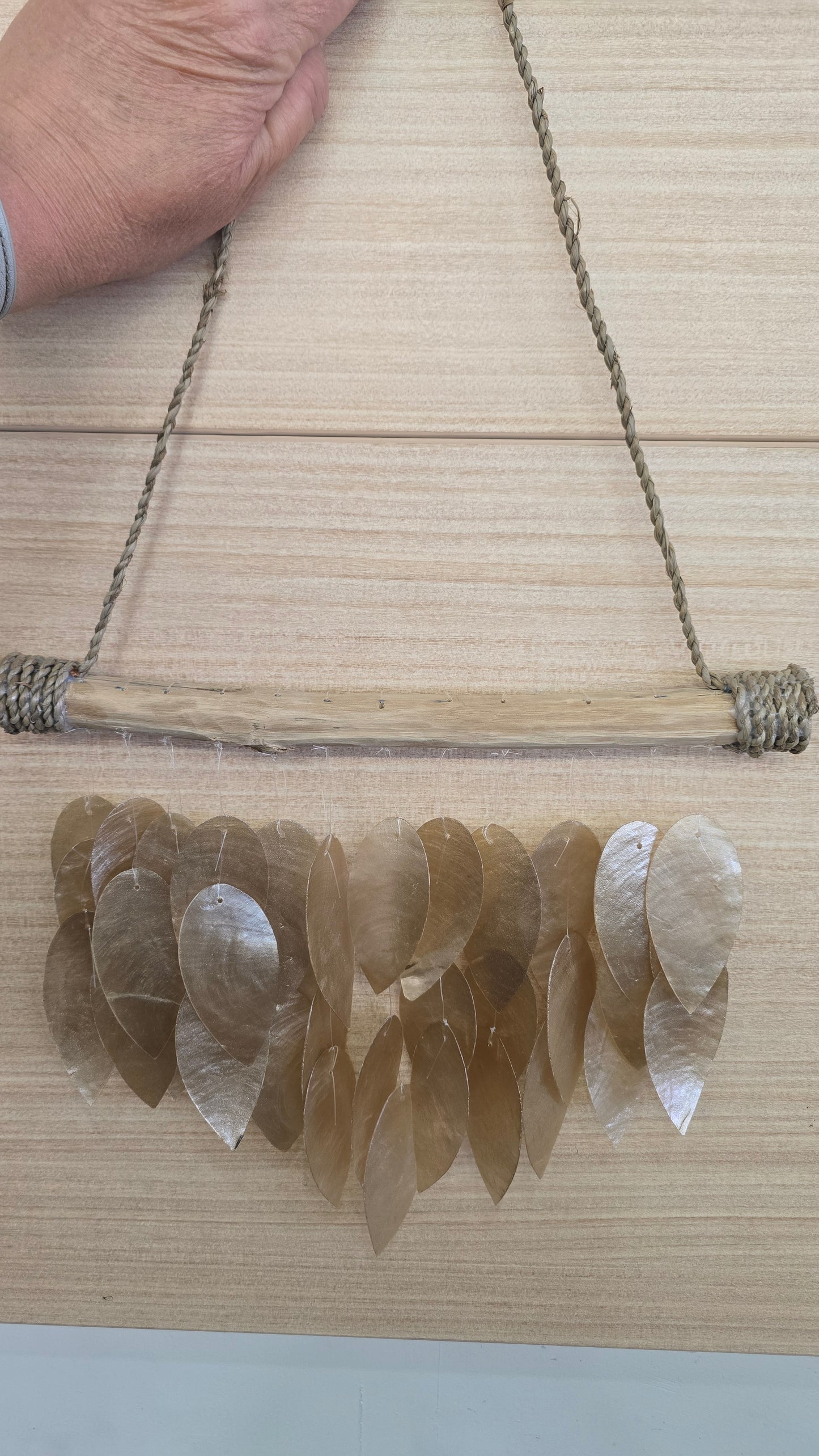 Capize Shell Hanger Fan