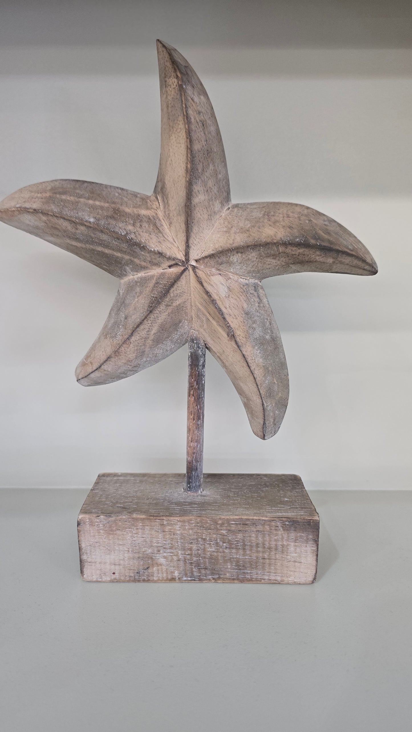 Starfish on Stand