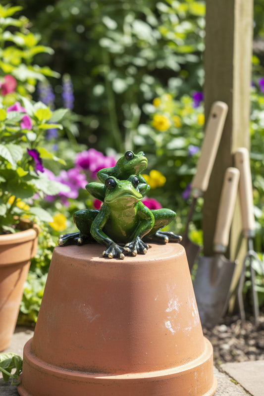 Jumping Frogs