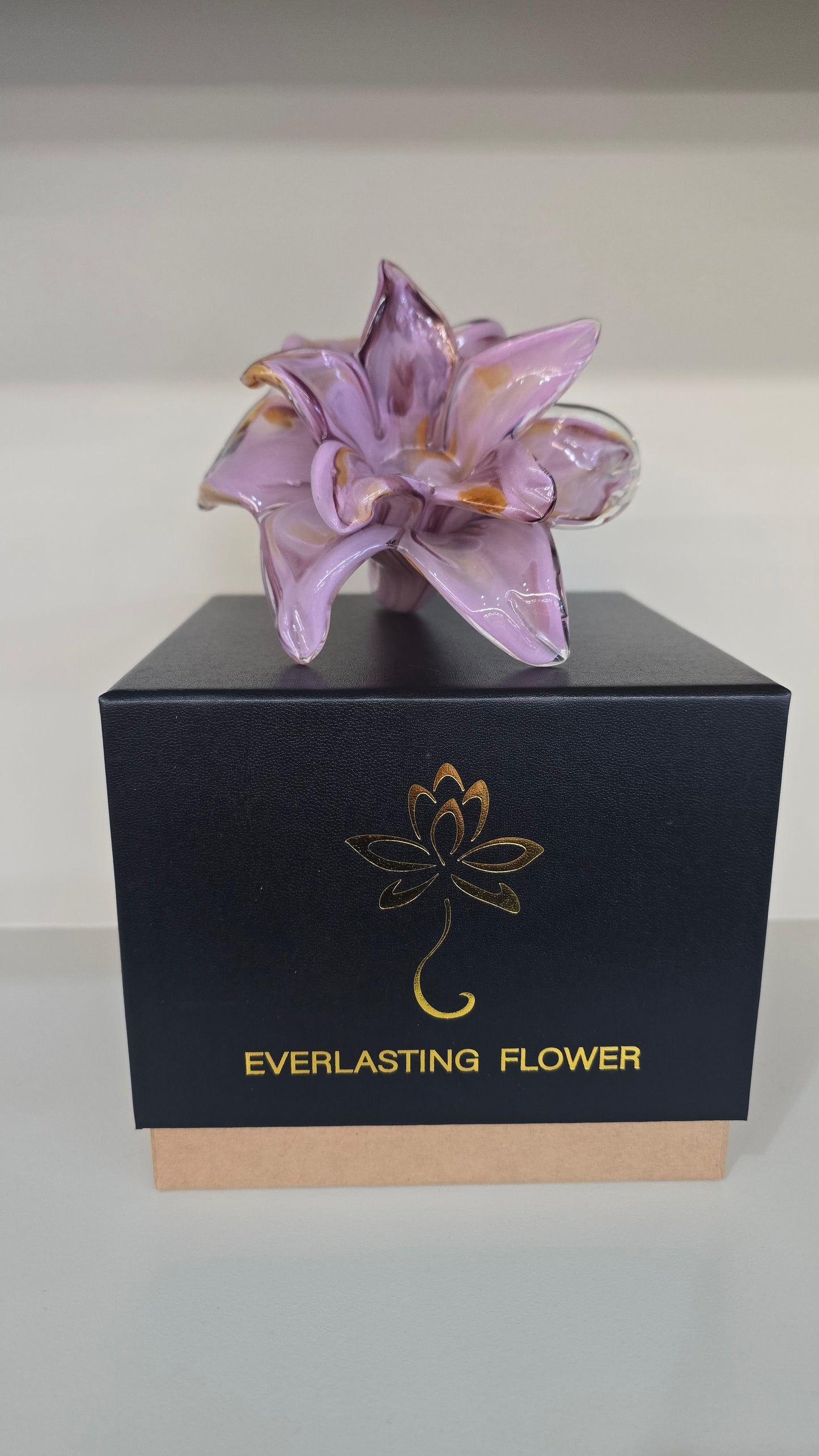 Everlasting Double Flower-011