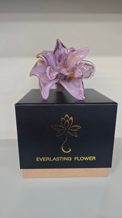 Everlasting Double Flower-011