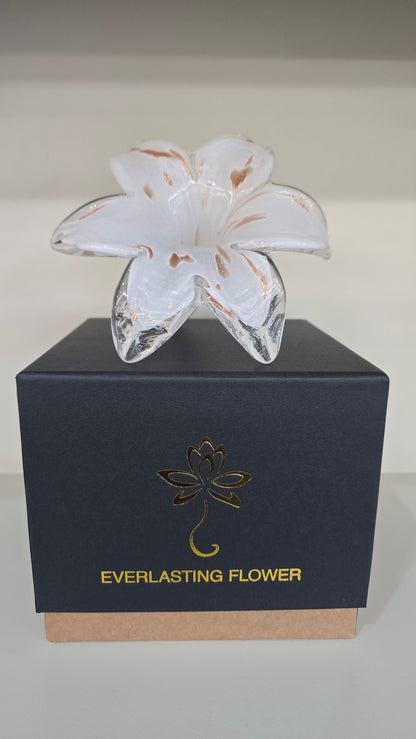 Everlasting Flower-018