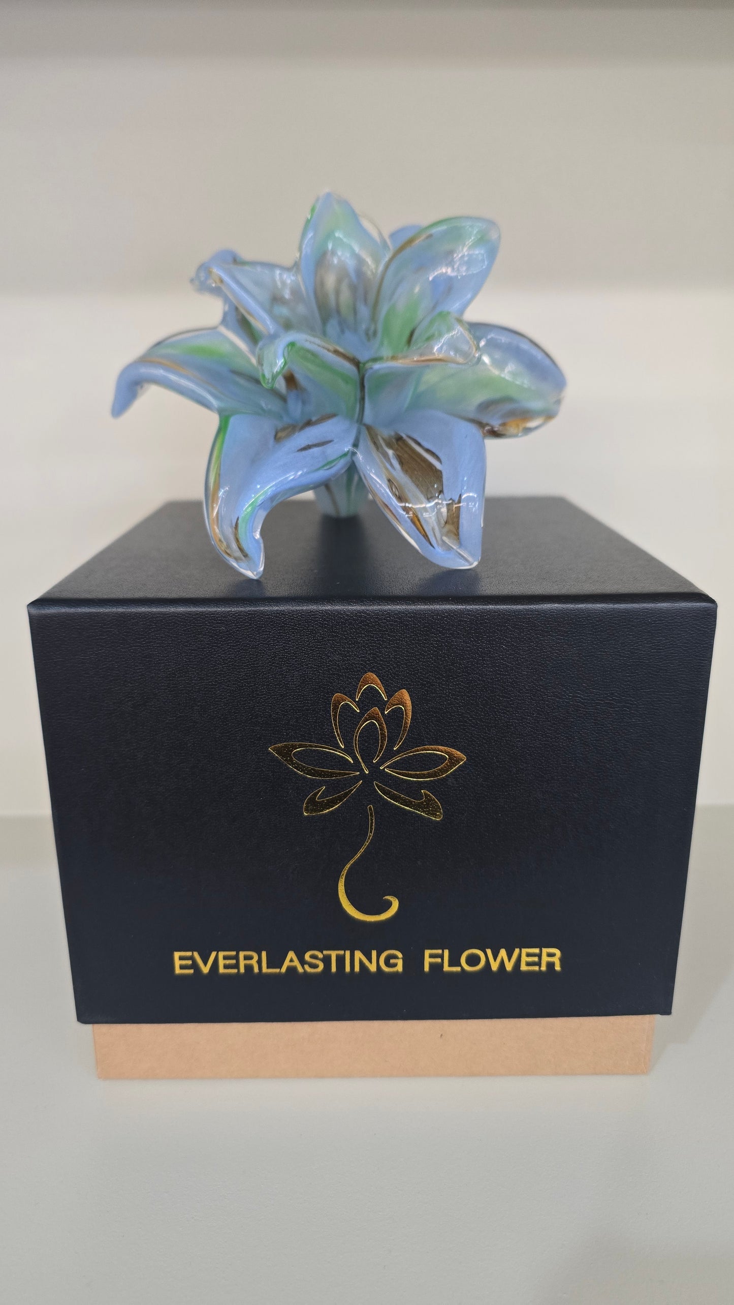 Everlasting Double Flower-013