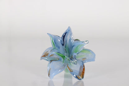Everlasting Double Flower-013