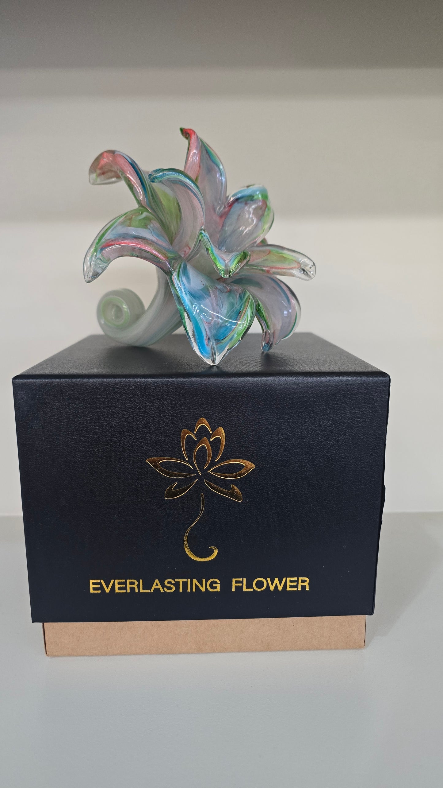 Everlasting Double Flower-012