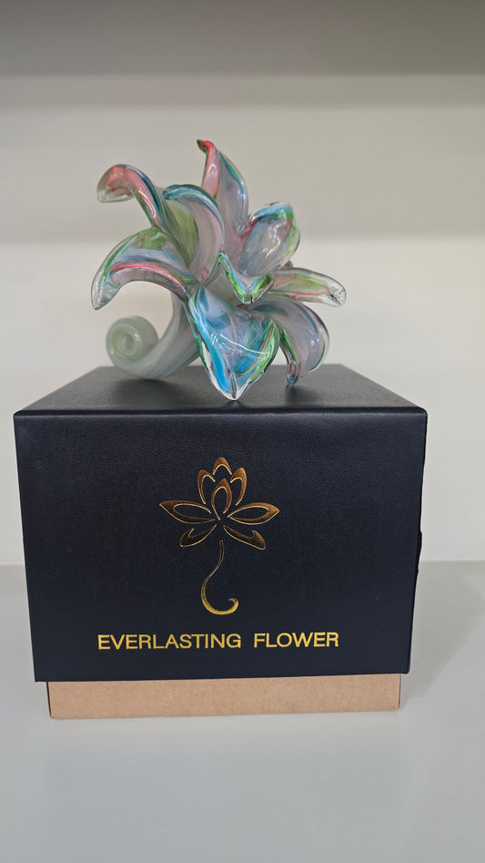 Everlasting Double Flower-012