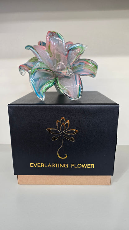 Everlasting Double Flower-012