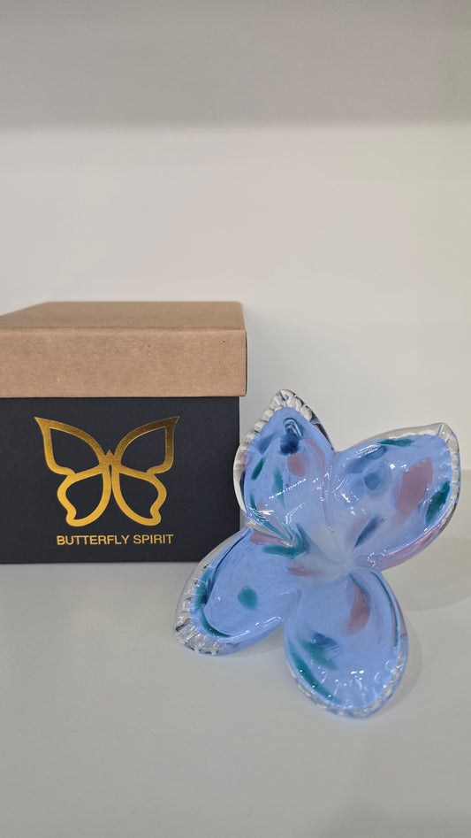 Butterfly Spirit-004