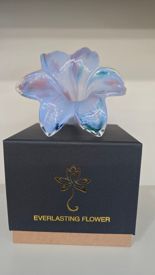 Everlasting Flower-017