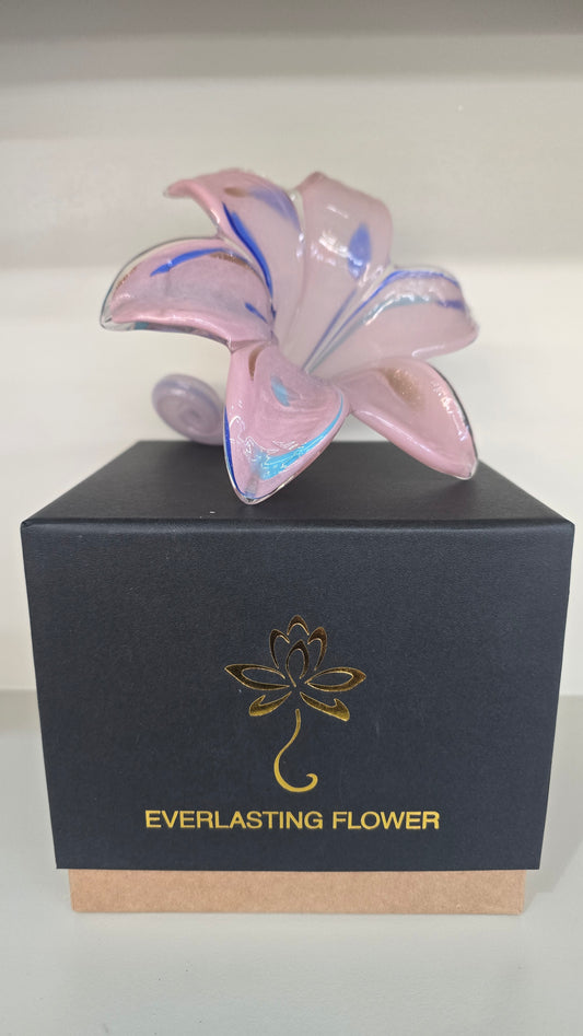 Everlasting Flower -016