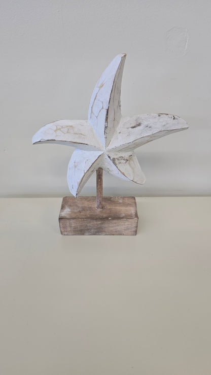 Starfish on Stand
