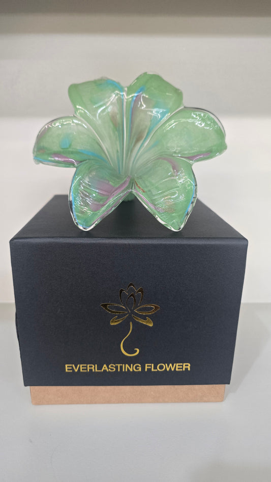 Everlasting Flower-015