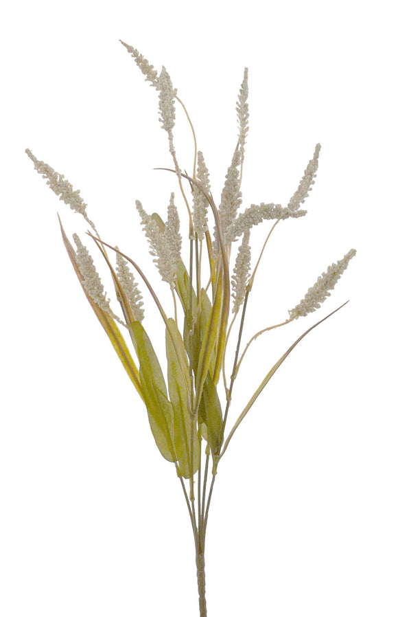Reed Grass-Cream