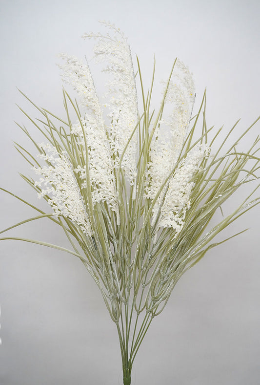 Pampas Grass Bunch - Cream