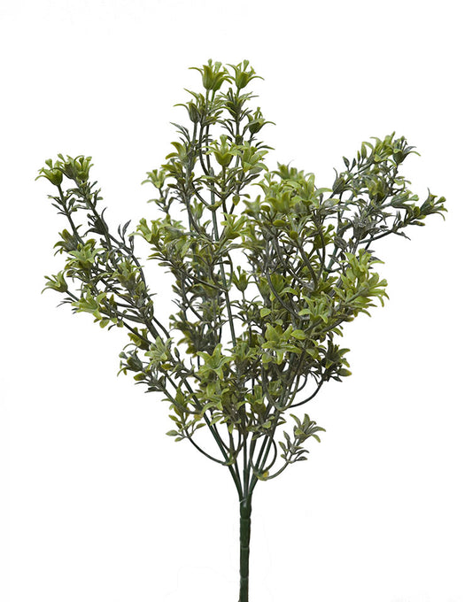 Flowering Bush - Green