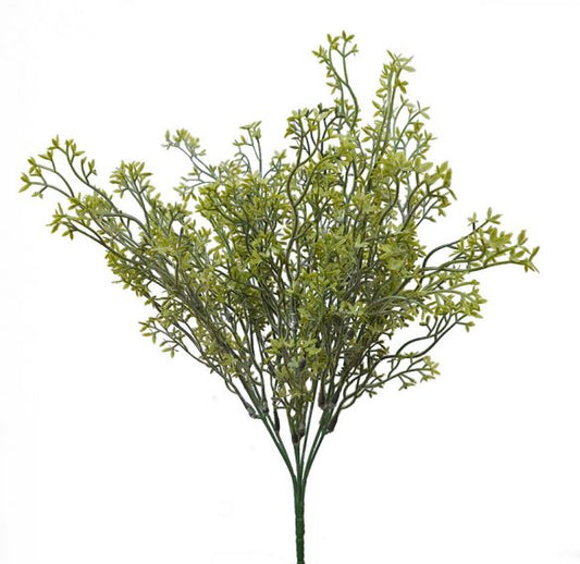 Fine Leaf Bush -Green