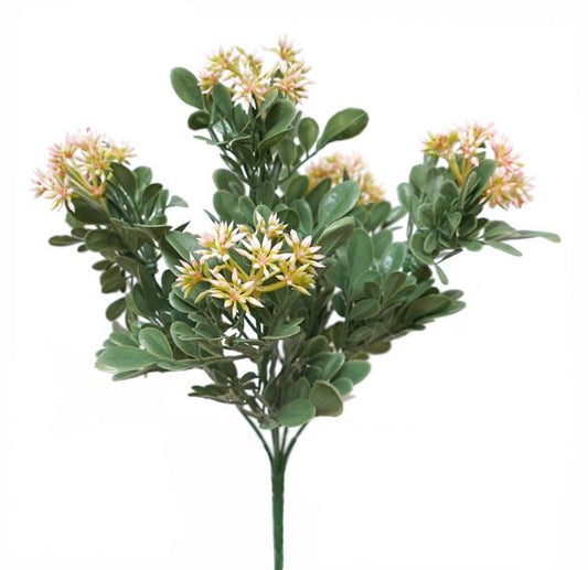 Seeded Bush -  Pale Pink