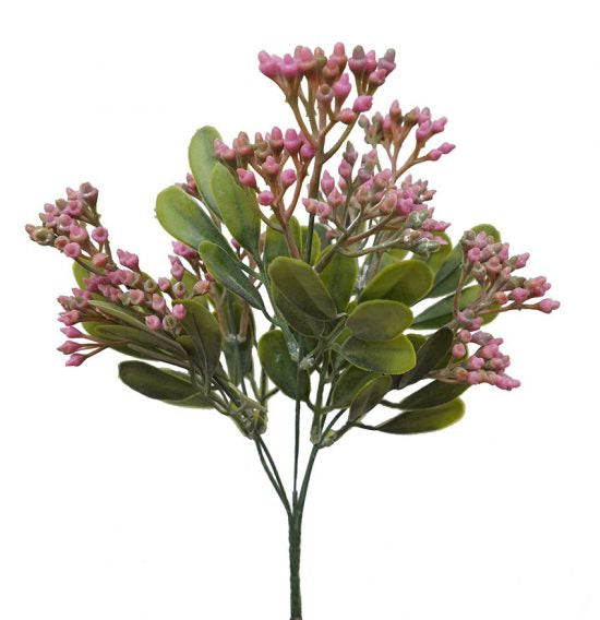 Seeded Bush - Pink