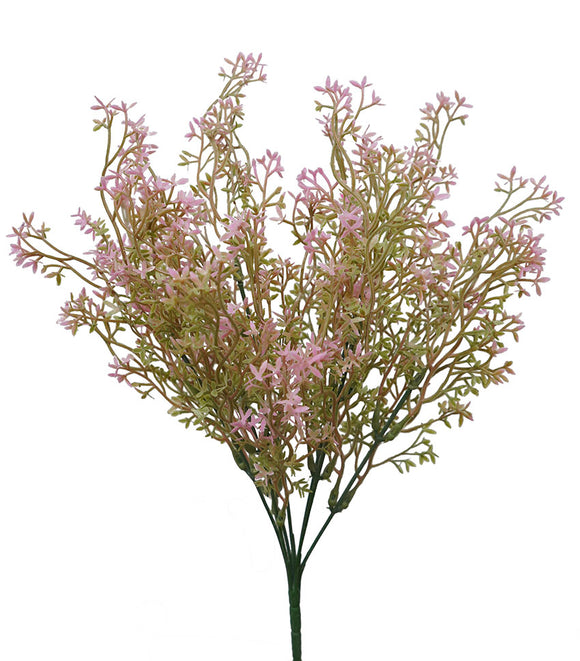Fine Leaf Bush - Pink