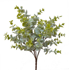 Eucalyptus Bush-White/Green