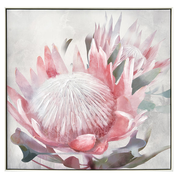 Framed Painting - Blush Protea