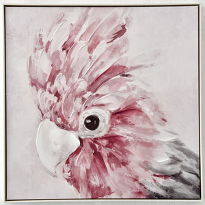 Framed Painting -What A Galah